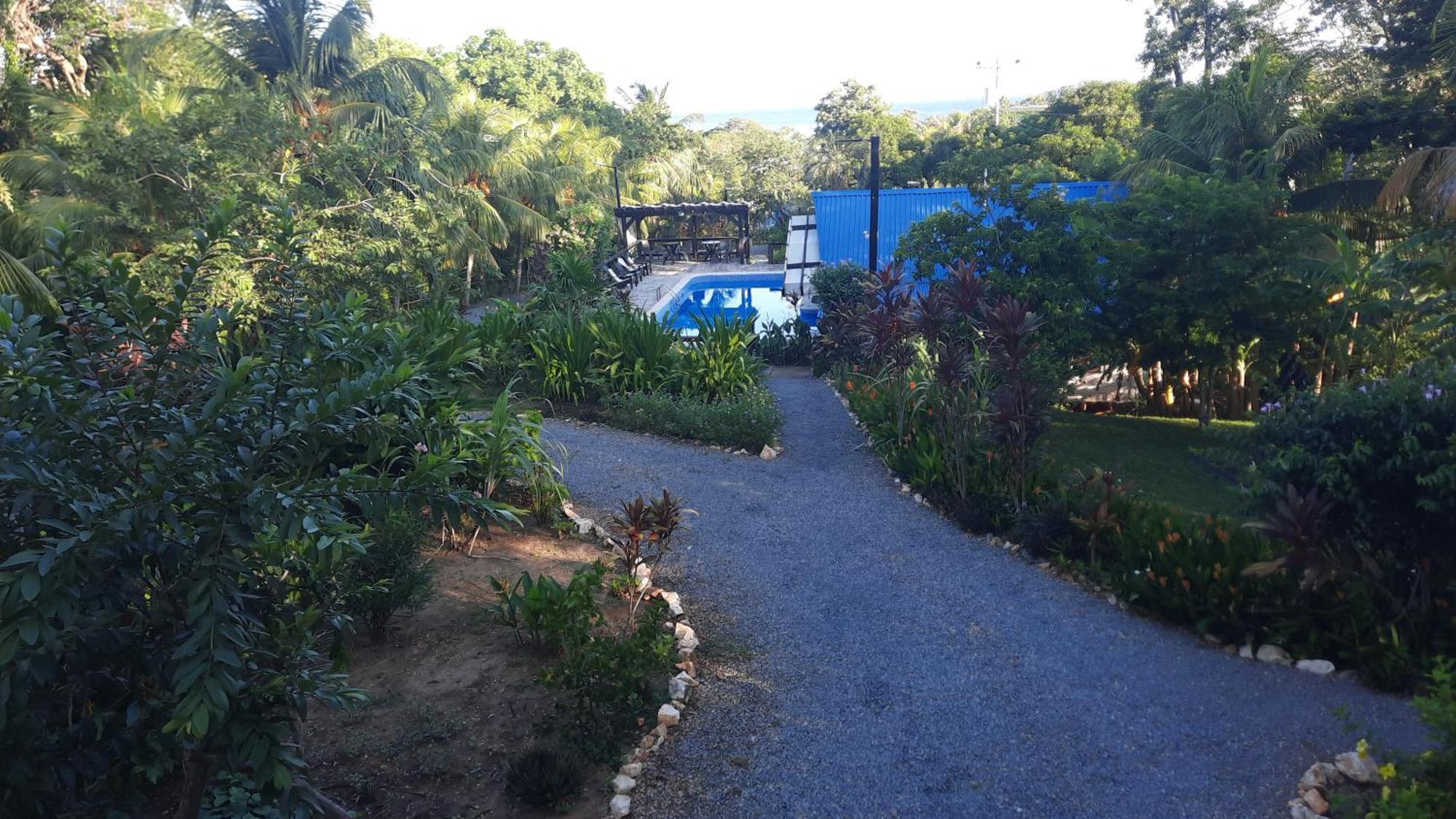 Guava Grove Resort & Villas Sandy Bay Bagian luar foto