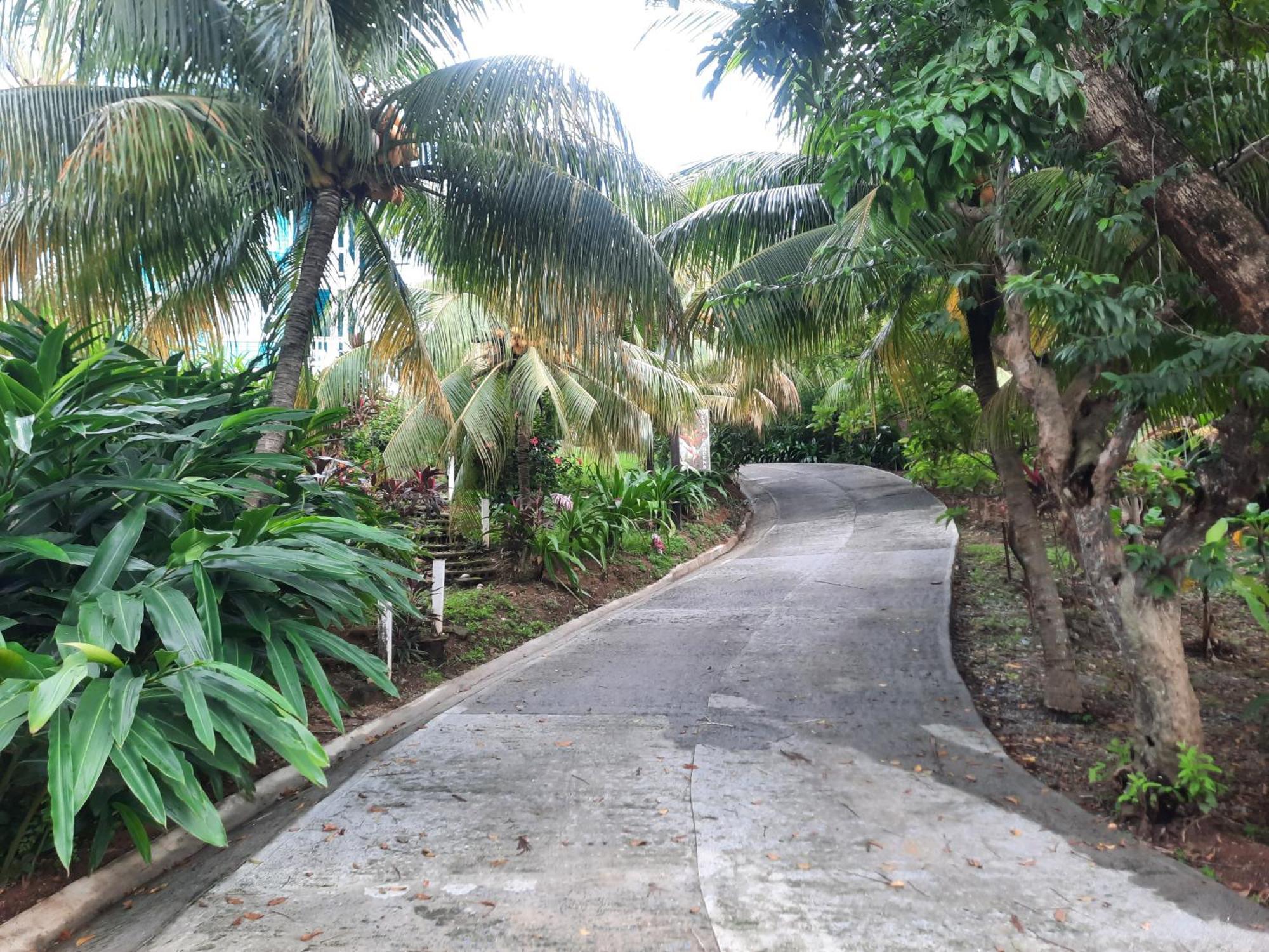 Guava Grove Resort & Villas Sandy Bay Bagian luar foto